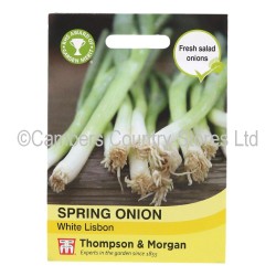 Thompson & Morgan Spring Onion White Lisbon